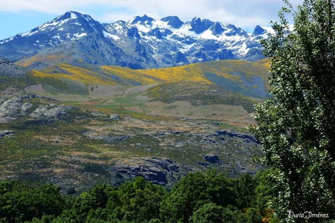 Casa Rural Las Canales Zapardiel de la Ribera Екстер'єр фото